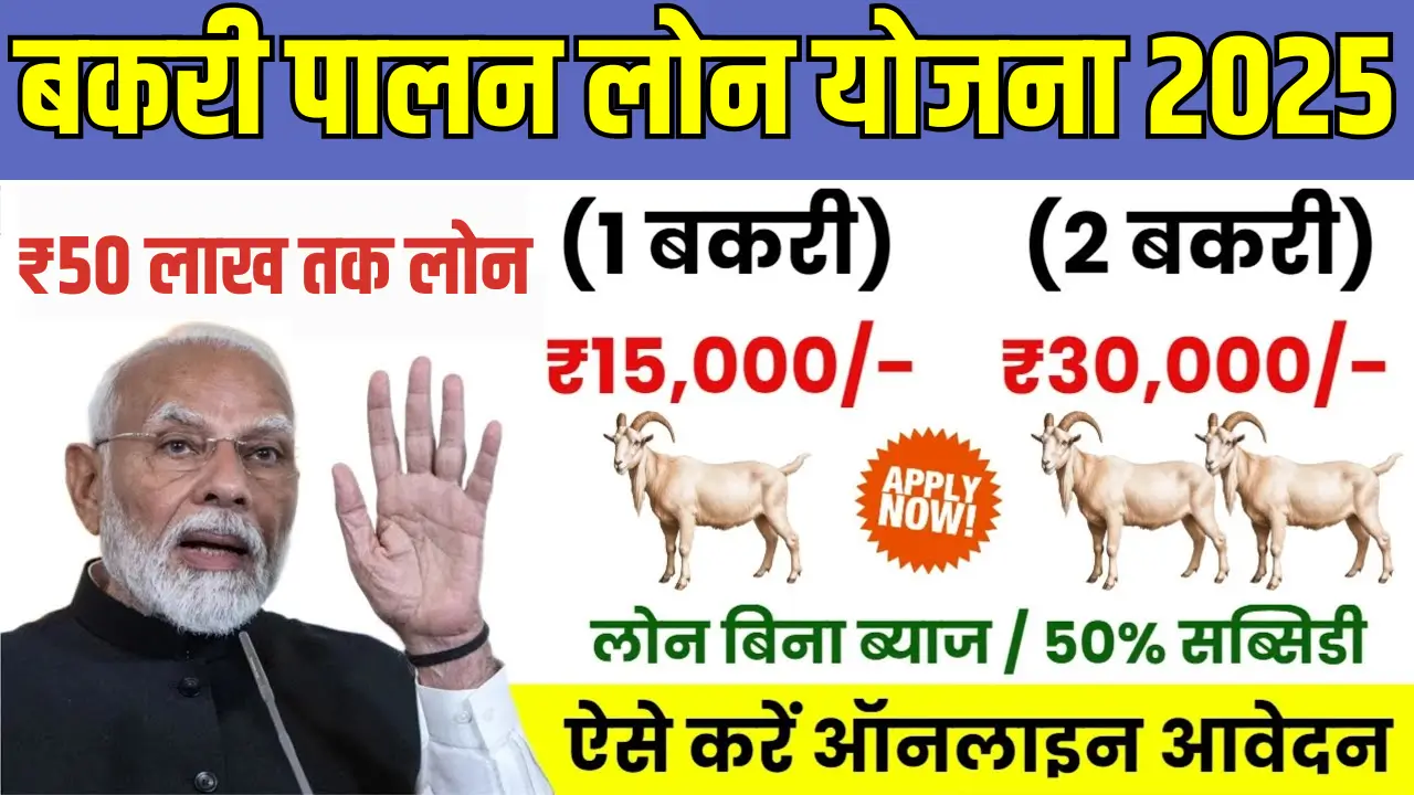 Bakri Palan Yojana 2025: A Golden Opportunity with 60% Subsidy and Loan Up to ₹50 Lakhs
