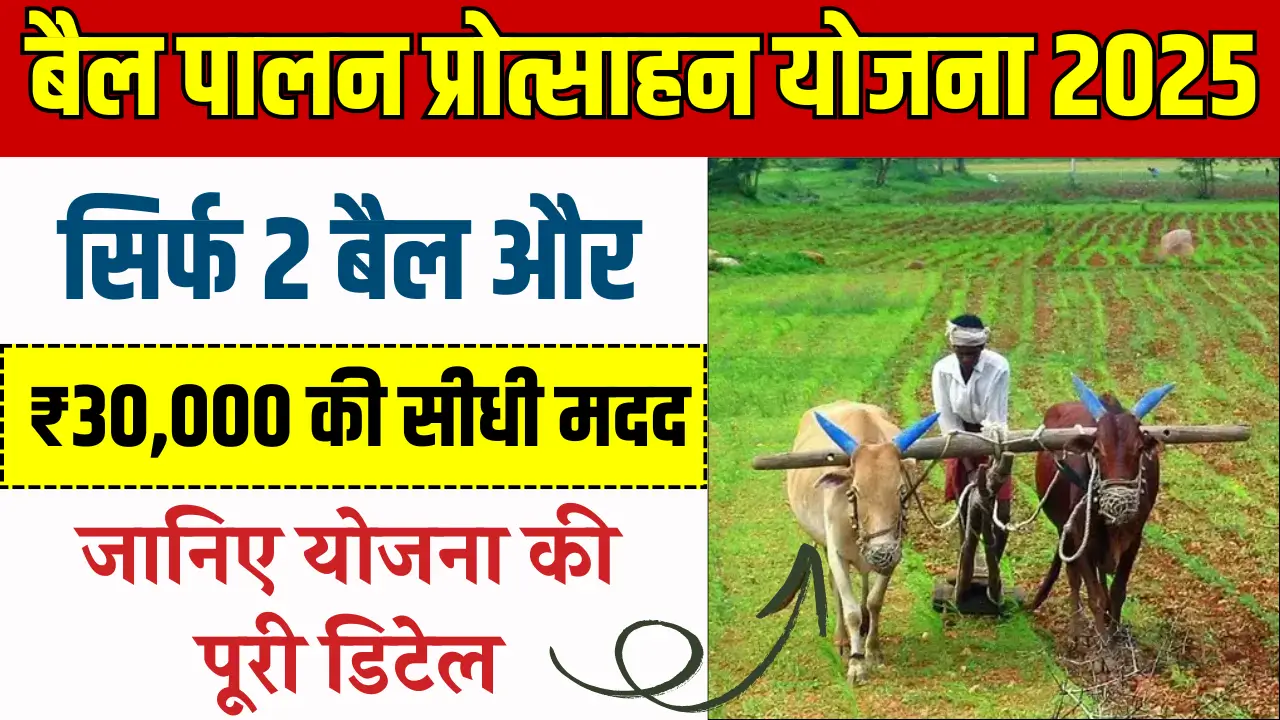 Big Relief for Farmers! Rajasthan Launches New Bull Subsidy Scheme: Earn ₹30,000 Every Year Without a Tractor