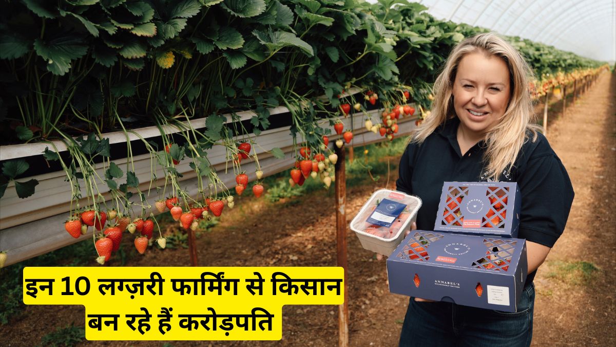 इन 10 लग्ज़री फार्मिंग से किसान बन रहे हैं करोड़पति – नंबर 5 आपको हैरान कर देगा