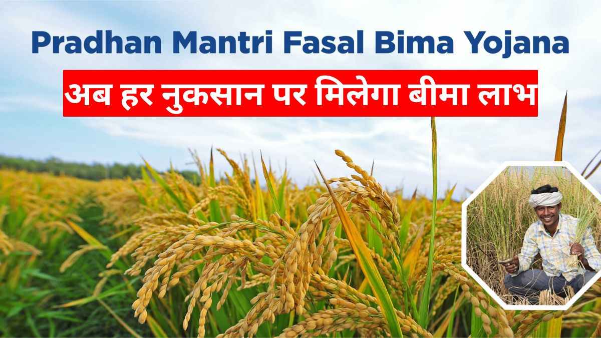 PM Crop Insurance Scheme: किसानों की सबसे बड़ी समस्या खत्म! अब हर नुकसान पर मिलेगा बीमा लाभ