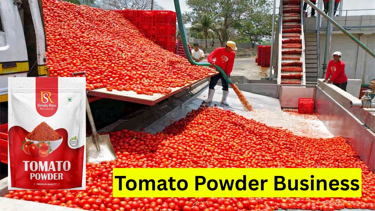 Tomato Powder Business: ₹12,000 करोड़ की इंडस्ट्री: टमाटर पाउडर बिजनेस से ऐसे कमाएं लाखों, जानिए पूरी प्रक्रिया और सरकारी मदद