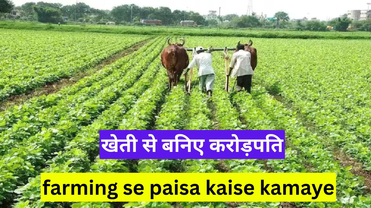 farming se paisa kaise kamaye: खेती से बनिए करोड़पति, जानिए वो फसलें जो कम लागत में देंगी लाखों का मुनाफा