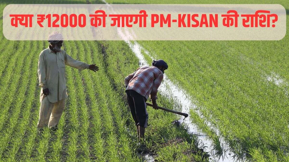 PM Kisan 12,000 रुपये का सच: क्या सच में दोगुनी होगी किसानों की मदद?, आया साफ जवाब